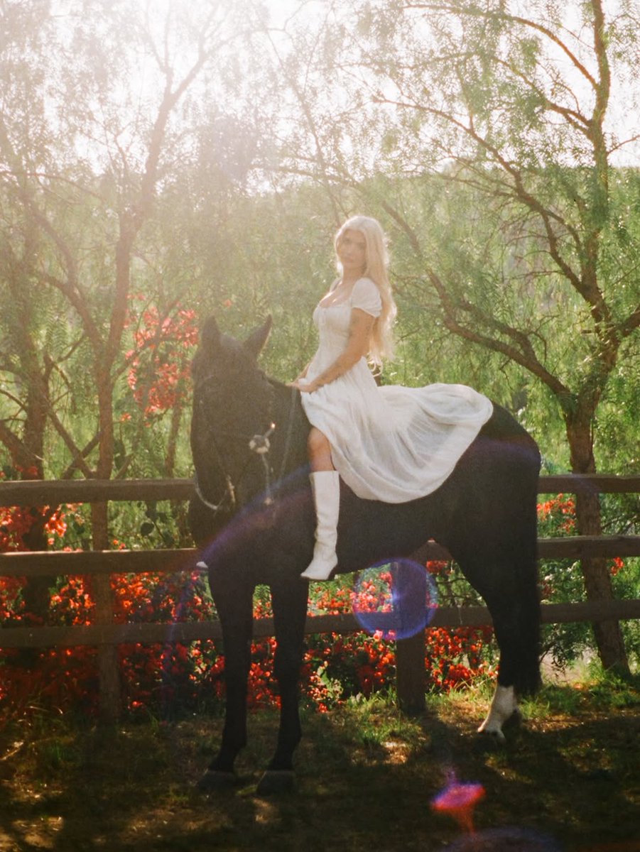 7bebe723's tweet photo. A year ago today, I purchased my first horse and named him Murphy 🎄 After six years away from riding, it was challenging to relearn and adapt to a green horse at the same time, but I’m grateful for every single moment—good or bad. He’s taught me pati... https://t.co/T4dGuvDwMe