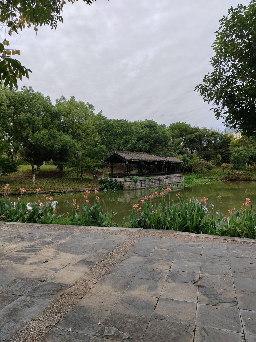LakenyaBilmku's tweet photo. Just finished a cozy morning walk along the riverside, fresh air and warm sunlight made everything perfect! https://t.co/pBFrohr3U4