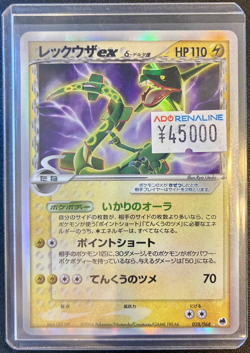 PSA10】 ポケモンカード カメール 旧裏 イントロパック ポケモンカード