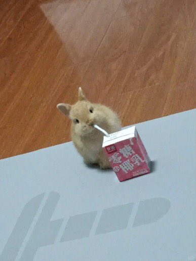 Ieeesui's tweet photo. 목말라요.. ୧ ‧₊˚ 🧃 ⋅ ☆ https://t.co/es8tnTurJA
