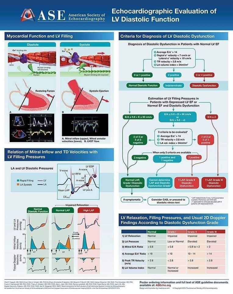 TrackYourHeart's tweet photo. Echocardiographic evaluation of LV diastolic function made simple by ASE😍 https://t.co/vQ9y0XazPm