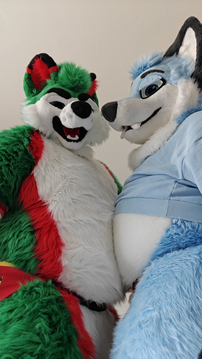 ThatAeroFox's tweet photo. What's better than one tummy? Two tummies!
#TummyTuesday

🟢🐾: @castrol_coyote https://t.co/pakdaciRR1