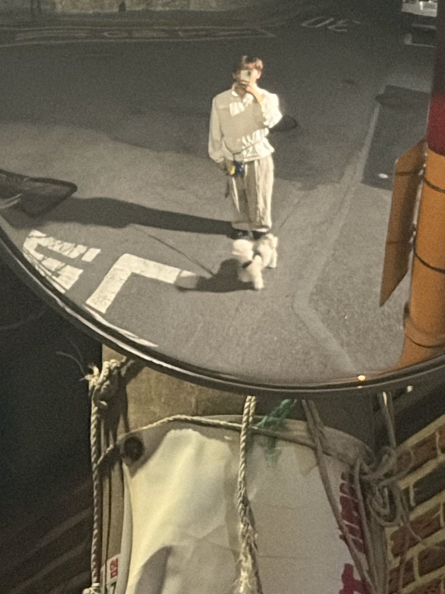 syechni's tweet photo. 예찬이 개초딩포즈
설이 의젓얌전강아지 https://t.co/q5cNDP8F9U