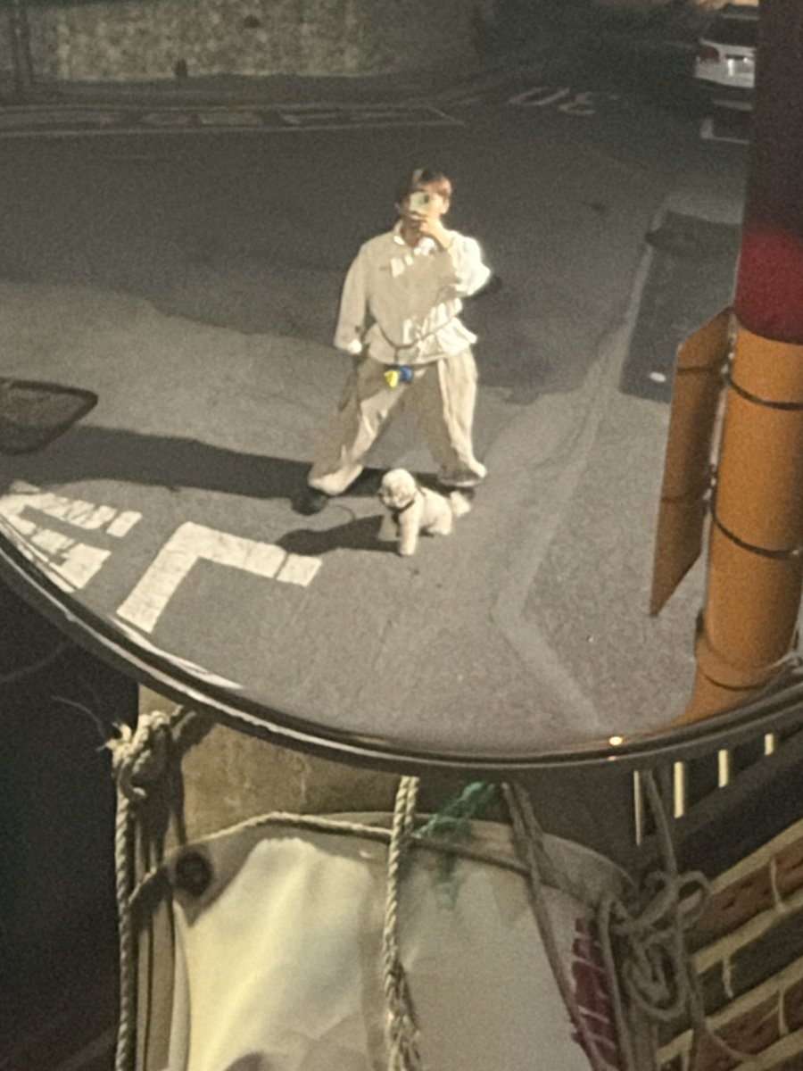 syechni's tweet photo. 예찬이 개초딩포즈
설이 의젓얌전강아지 https://t.co/q5cNDP8F9U