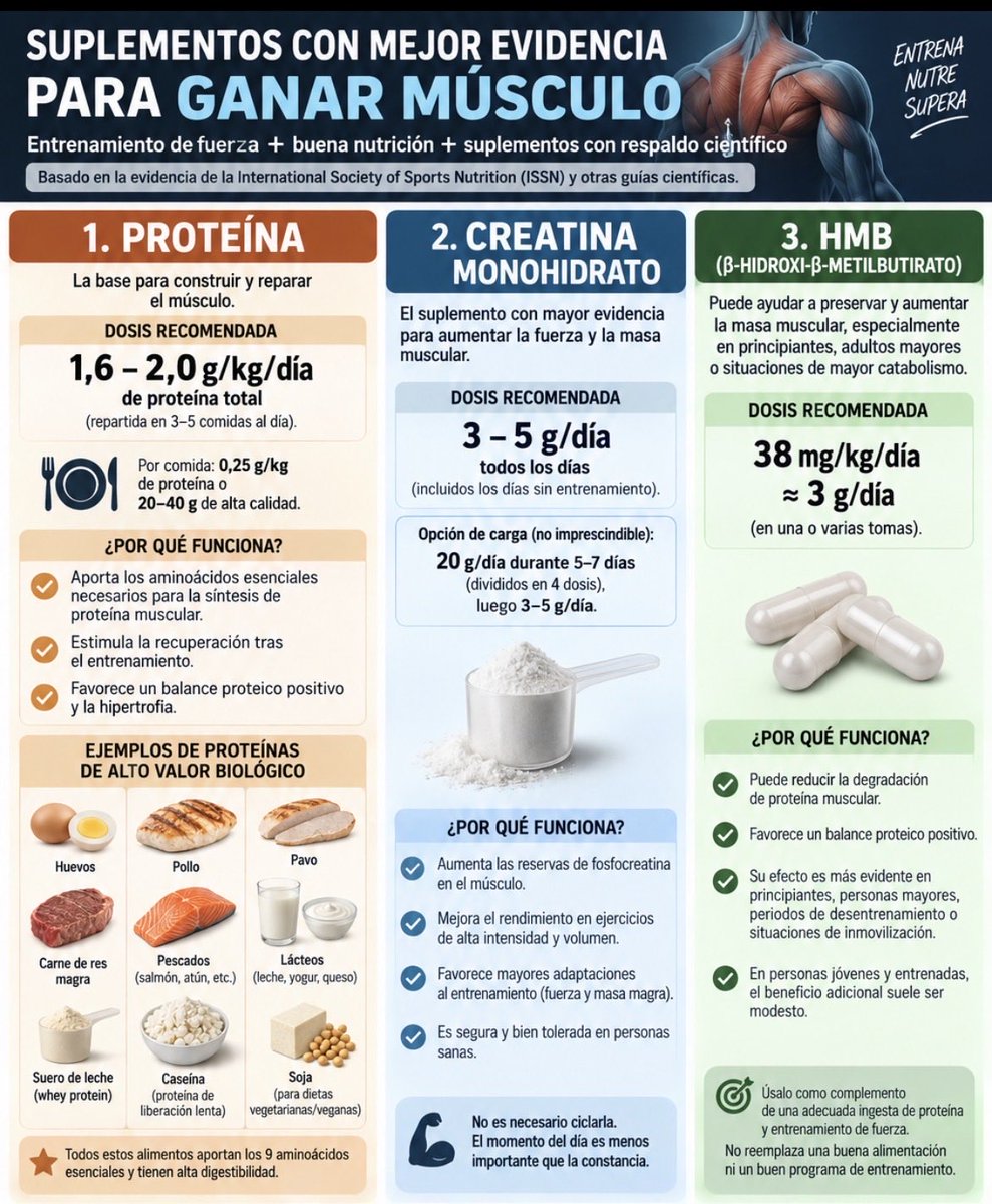 mayogastro's tweet photo. Para ganar #masamuscular es importante hacer #ejercicios de fortalecimiento (#pesas o #ligas ), pero hay que acompañarlos de una dieta alta en #proteinas La #creatina y el #hmb ayudan bastante.  #leucina #salud #fuerza https://t.co/oqZwu01xQS