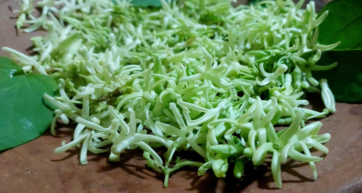 Manaswiini's tweet photo. ଓଡ଼ିଶାରେ  ଅନେକ ଫୁଲ ଖାଦ୍ୟ ଉପଯୋଗୀ, ତନ୍ମଧ୍ୟରୁ ଗୋଟିଏ ହେଉଛି ଟୁକେଇ କୁଣ୍ଡେଇ,��ଡ଼ିଶାରେ ଏହା ବିଭିନ୍ନ ନାମରେ ପରିଚିତ,ଏଇ ଯେମିତି ଟୋକେଇ ଫୁଲ,ଟୋକେଇ ଭୋଗେଇ ଏବଂ ଟୁକୁମାରି।ଏହି ଫୁଲଟି ଦେଖିବାକୁ ଯେମିତି ସୁନ୍ଦର ଏଥିରେ ତିଆରି ଜିନିଷ ମଧ୍ୟ ଖାଇବାକୁ ସେତିକି ସୁଆଦିଆ।ବର୍ଷର ଏଇ ସମୟ ଏହି ଫୁଲ ମିଳିଥାଏ।

https://t.co/JqfHfPwNtE https://t.co/SgzU30SWPg