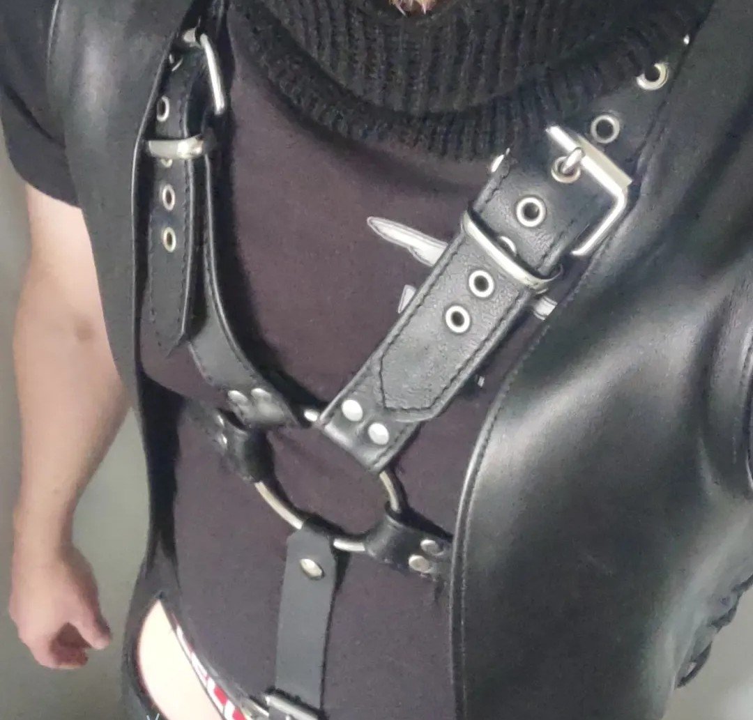 Dx180's tweet photo. Ready for some more... Follow @LeatherBullFIN https://t.co/iyTIqlyrrz