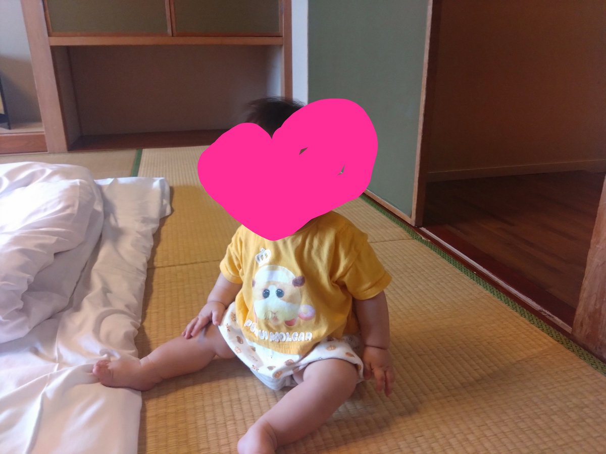 mami77374442's tweet photo. これから7カ月ちょっと
成長したねー！

ポテト姿相変わらずかわいい😊 https://t.co/2gPk27ZYwg