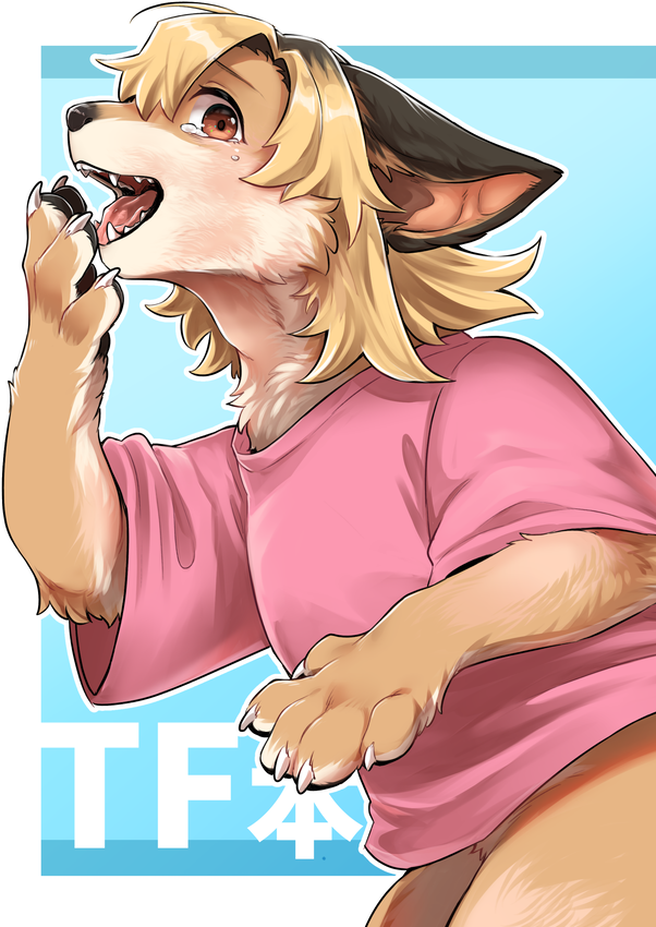 Diga_foxdog's tweet photo. けもケット17新刊②（全年齢向け）TF本サンプル
（1/2） https://t.co/9GJI6kTHHd