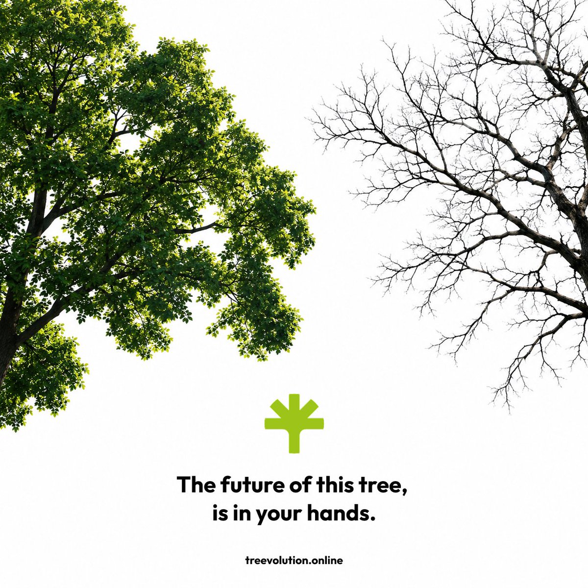 TreevolutionSOL's tweet photo. Grown by belief.

Trading $TREE directly affects our internet tree. 

Buy and watch it grow, along with the holder rewards.

Sell and watch it wilt. 

The future is in your hands.

Which side are you on?

🌳 https://t.co/lVwpoxuLl2