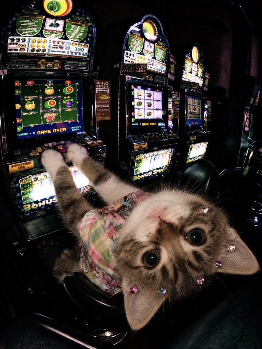 upsidedowncatSF's tweet photo. let’s start the day off right gusdc https://t.co/TxTbW4pnWV