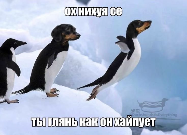 choowXD's tweet photo. @ScorpiOneeeca https://t.co/6qiwE86zua
