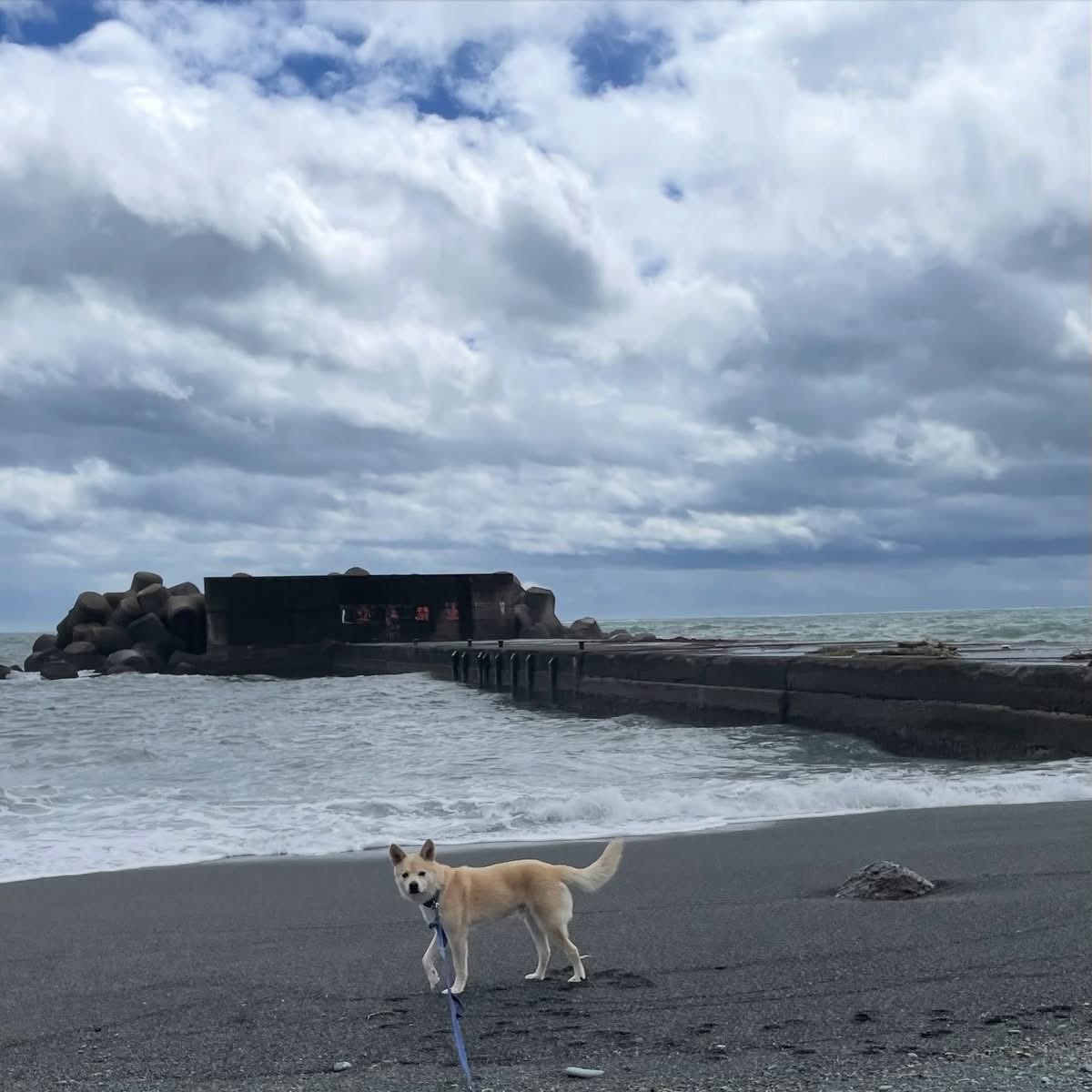 fuyukity's tweet photo. 今日はまた雨が降ったりの
お天気になりましたね。
突然の豪雨にも気をつけないとですね。

さてご予約の連絡も頂きまして
誠にありがとうございます。
今週この後は木・金曜日と、
営業させて頂きます。

少しずつ秋を感じるそんな季節ですね。
今週もゆるりと…どうぞよろしく
お願いいたします。 https://t.co/HJ4yz4AeUs