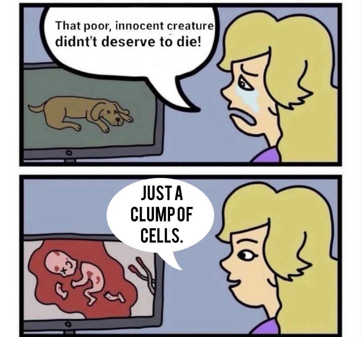 BryanKemper's tweet photo. Pro-aborts be like…. https://t.co/pN5KdEoocx