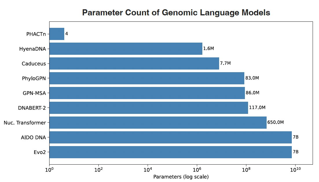 compGenomics's tweet photo. Evo2 needs A100/H100 GPUs. GPN-MSA: 86M parameters.

PHACTn: standard CPUs, no training, no GPU.
~27 CPU-hours for 100 × 10kb windows at 50 parallel jobs.

PHACTn provides phylogeny-aware variant scoring for the entire genome. https://t.co/JkReE7BYSu