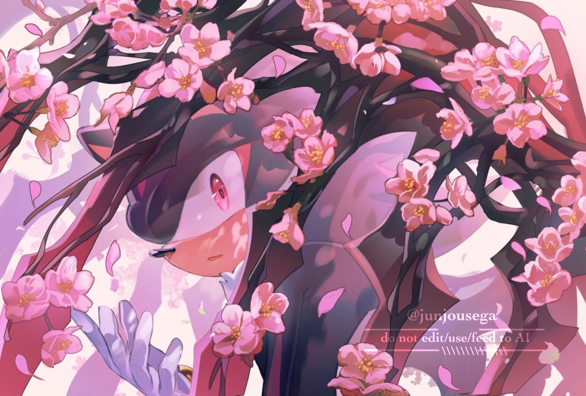 junjousega's tweet photo. Your wings are beautiful. https://t.co/m72sxCFAFu