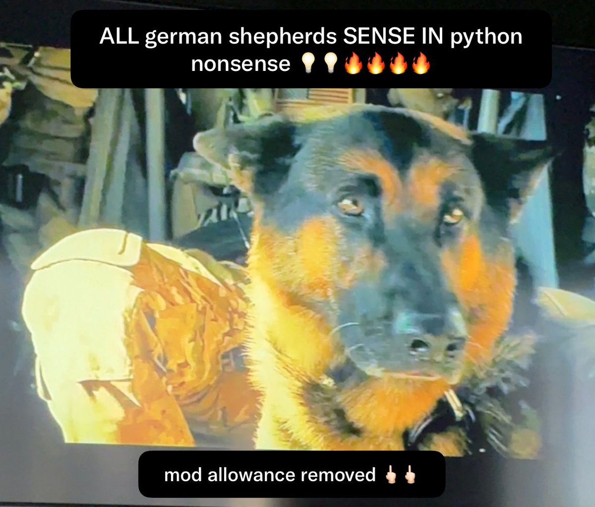 laur3ng00n1ng's tweet photo. #machine #learning: #TORCHING #python AND #WILL #BE #THE #EQUIVALENT of #THIS #TRUE #SENSE #ALL #UP #IN #EVIL #NONSENSE 🖕🏻🖕🏻🖕🏻💡💡💡🔥🔥🔥 https://t.co/Ksoq86YArH