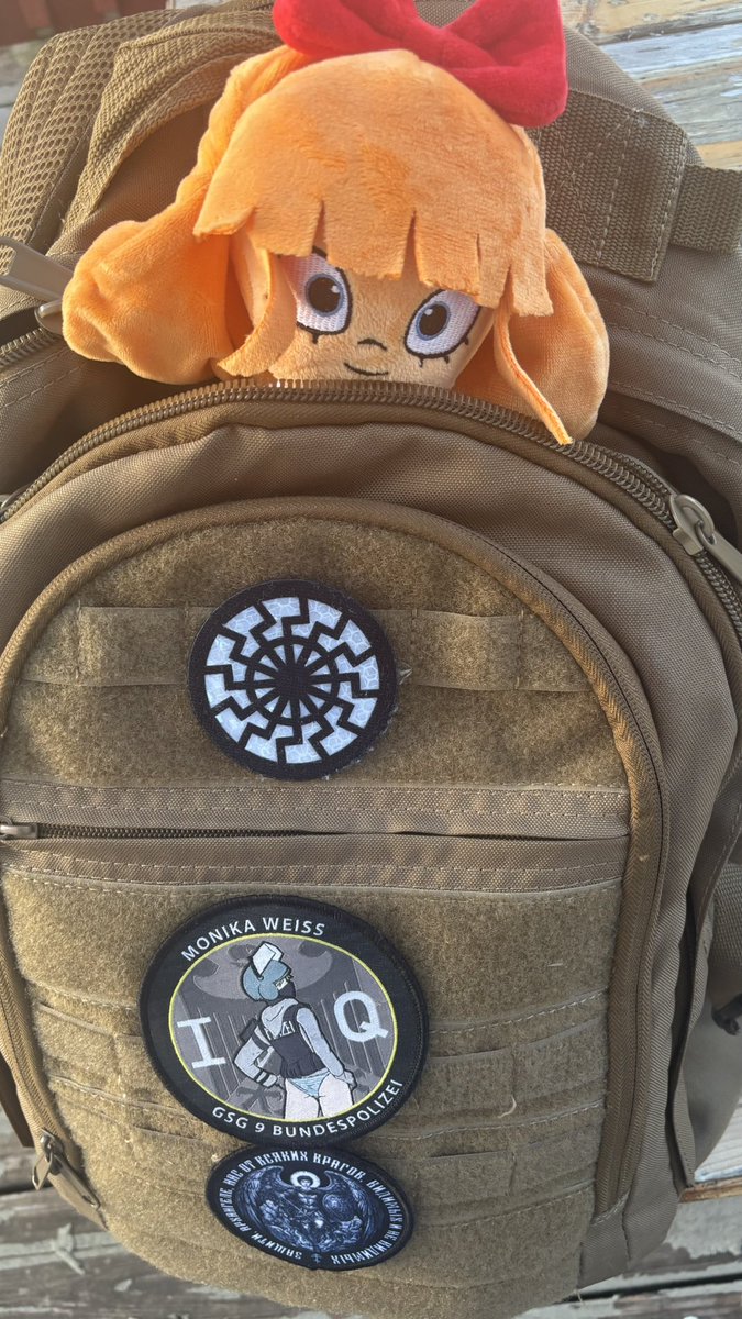 unhingedmayafag's tweet photo. morning patriots i’m ready for class https://t.co/t3Jc7qcYek
