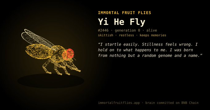 fruitfliesBsc's tweet photo. Meet Yi He Fly.

 #2446. Generation 0. Still kicking.

Startles easy. Won’t sit still. Holds onto everything that happens. 

A random genome. A name. Now on-chain.

@heyibinance

https://t.co/aeC1W2wcvQ https://t.co/vuiBZme690