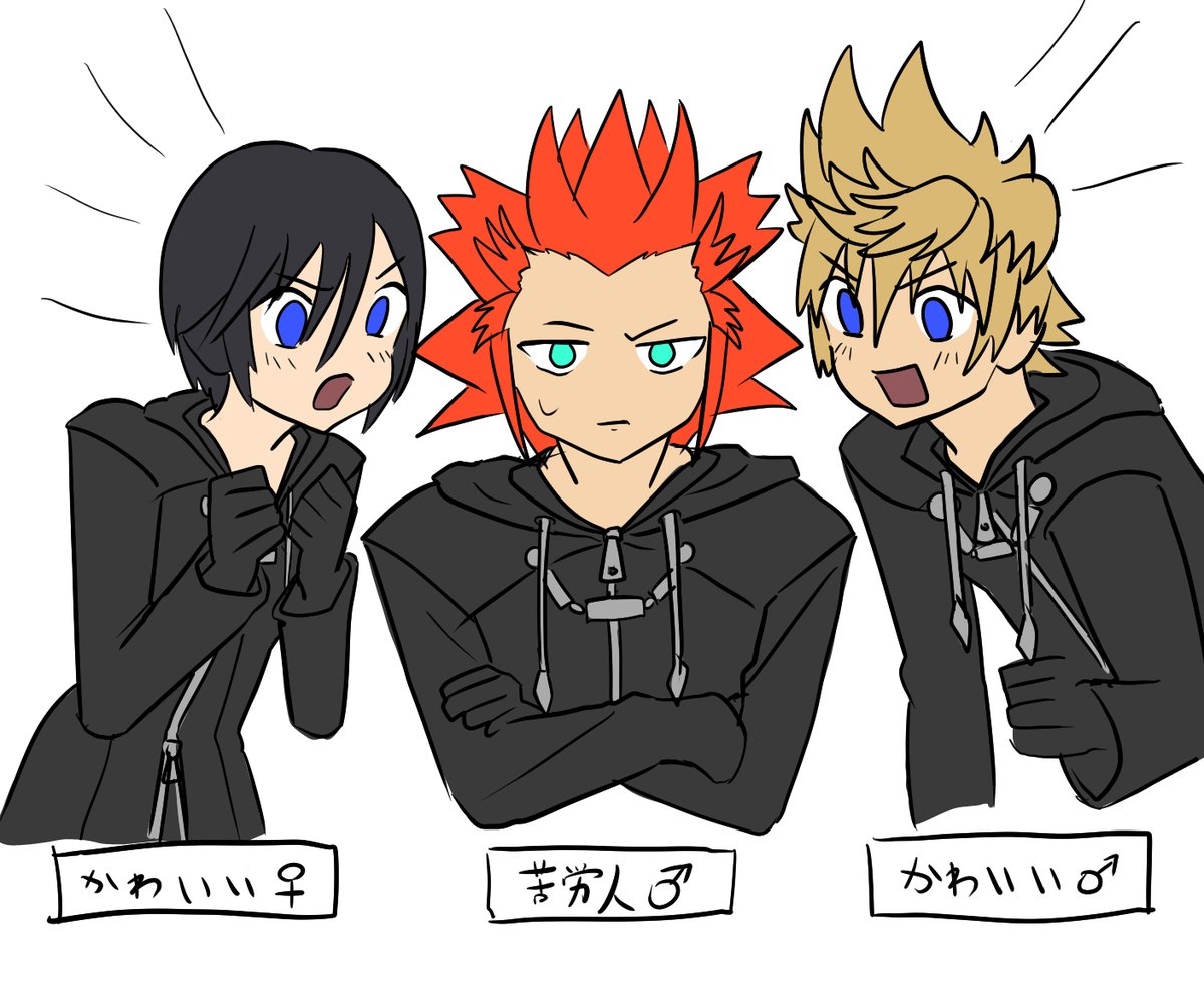 fukuro__321's tweet photo. キングダムハーツ358/2days... https://t.co/MY10Nvn7cE