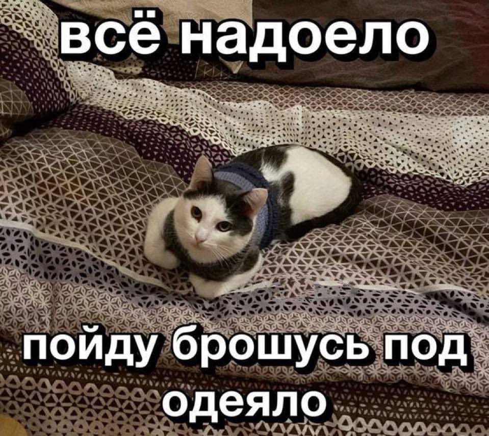 bruniaponich's tweet photo. @k21vl https://t.co/JzvPFdyJp0