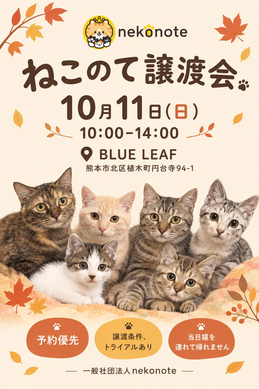 すみパン@10/11(日)譲渡会 on X: 