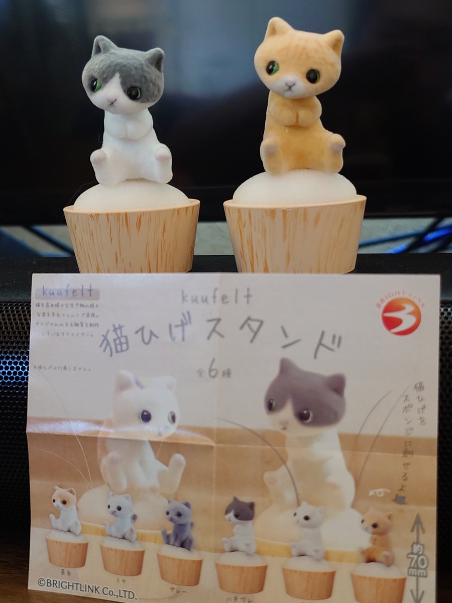 kizuki0610's tweet photo. 欲しかった@kuufeltさんの猫ひげスタンド✨️😊
絆那ちゃんと乙ちゃんのヒゲを見つけ次第さしていこうと思います❤

 #猫好きさんと繋がりたい 
 #猫ひげスタンド  #ブライトリンク https://t.co/QOORQSzJ8b