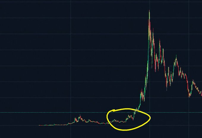 1000xgirl's tweet photo. Which #memecoin is here right now?  I’m buying. https://t.co/9g8IDJVtZ3