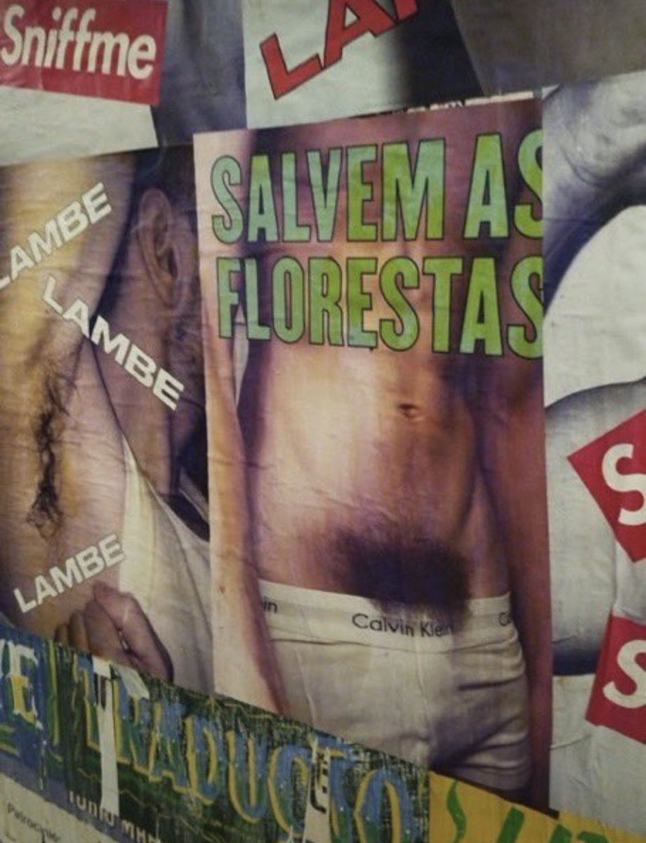 otalpeludinho's tweet photo. SALVEM AS FLORESTAS 🌳 https://t.co/LoYe4lf24L