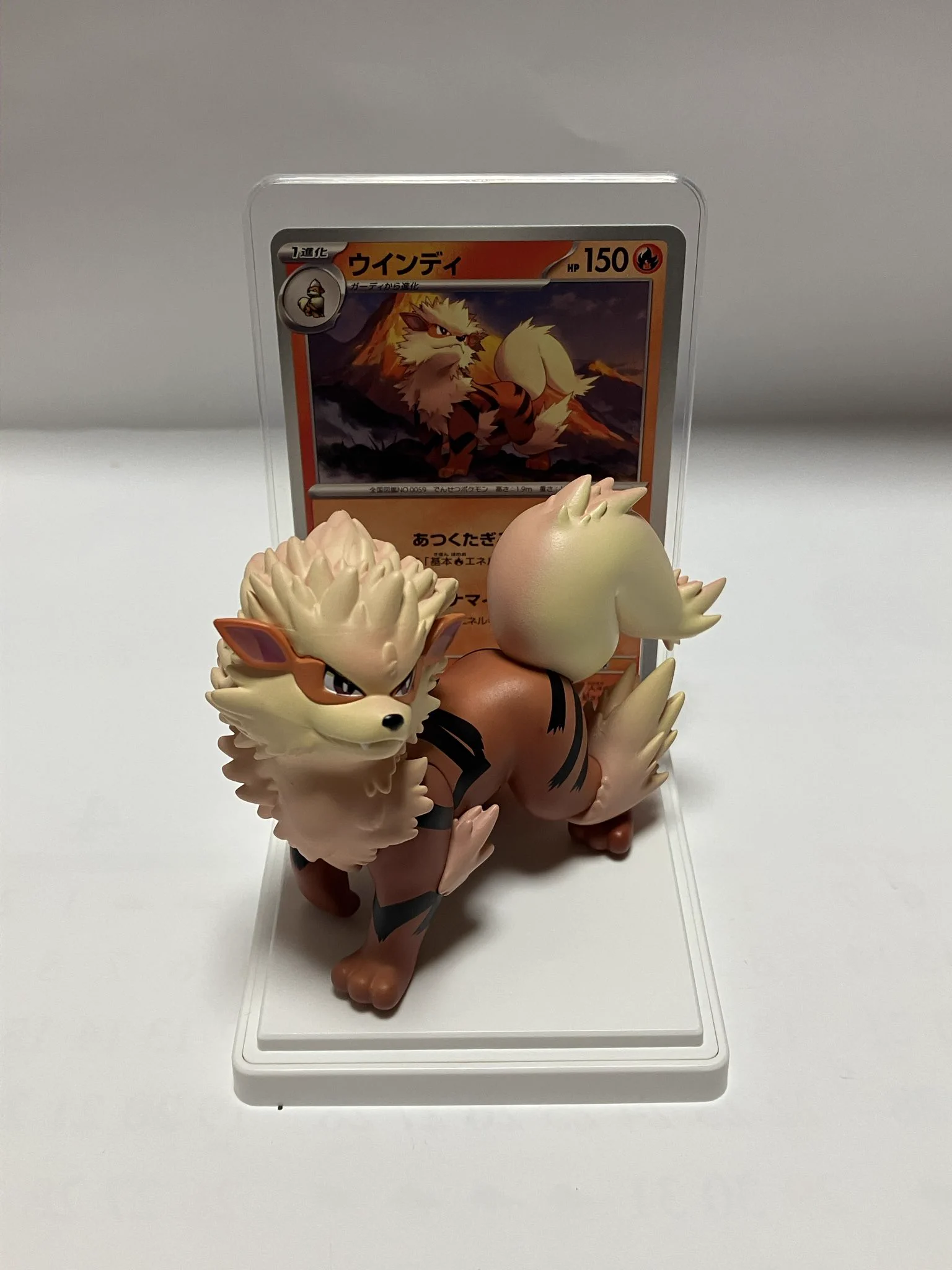 ポケモンカードゲーム　カードイラストフィギュアコレクション　カラカラ　ウインディ しゅーや on X: 