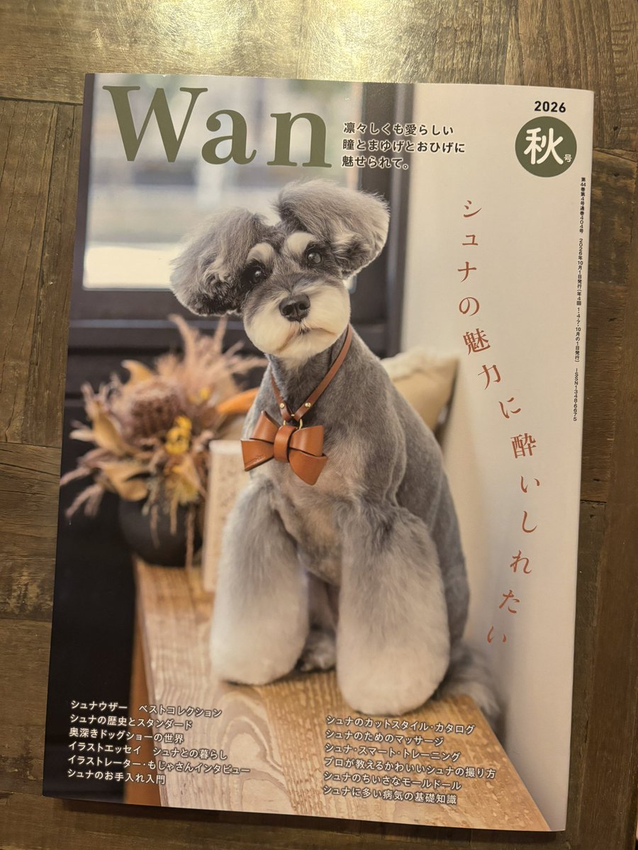 moja_kobo71112's tweet photo. 発売中の雑誌wanシュナウザー 特集号にて、インタビューを掲載していただきました✨
誌面ではうちの子やイラストを大きく取り上げていただき、本当に嬉しいです。
シュナの魅力がたっぷり詰まった見応えある一冊になっていますので、ぜひゲットしてくださいね！
#シュナウザー  #シュナ　#愛犬雑誌wan
#wan2026年10月号　#シュナのいる暮らし