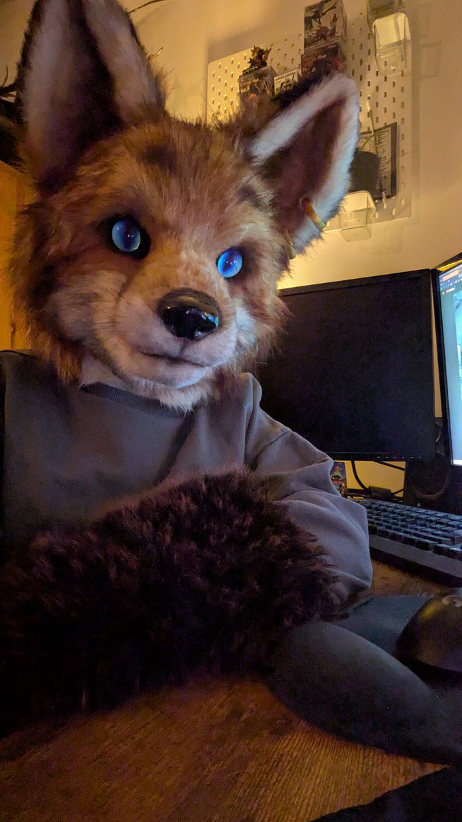 Fluffy_Foster's tweet photo. what i look like while insisting im not that cute actually :3 https://t.co/NMQBdwQWb2