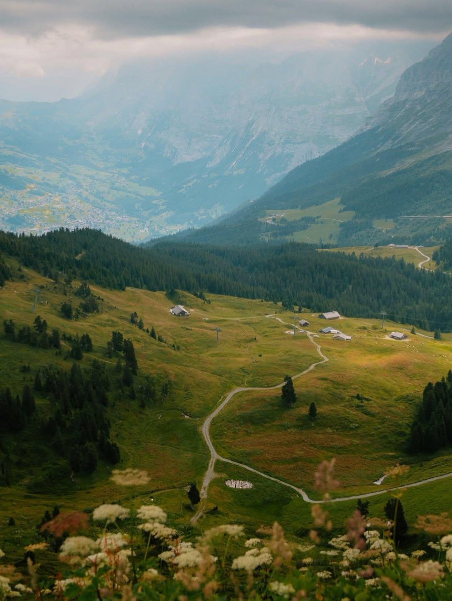 earthserenityy's tweet photo. Grindelwald Switzerland https://t.co/rQjJR51hTh