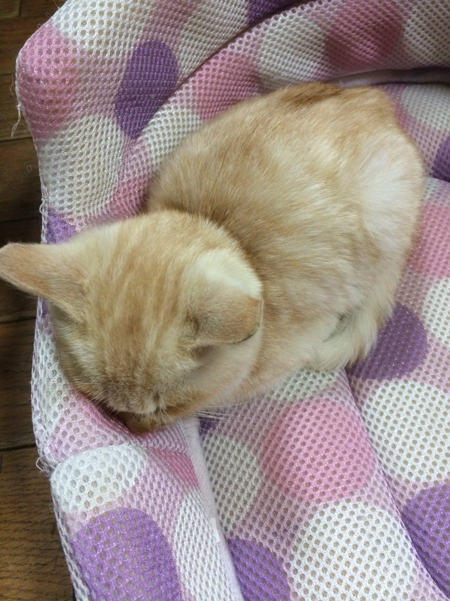 bonkurazombie's tweet photo. 分かる https://t.co/QQKQcpyygT