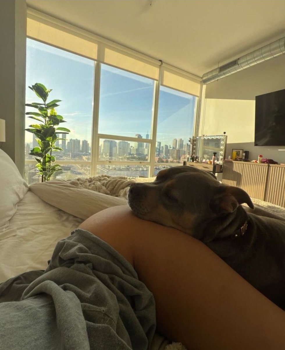 K9judith_'s tweet photo. https://t.co/s0Z40jvnL6 https://t.co/m6AQytU1tI
