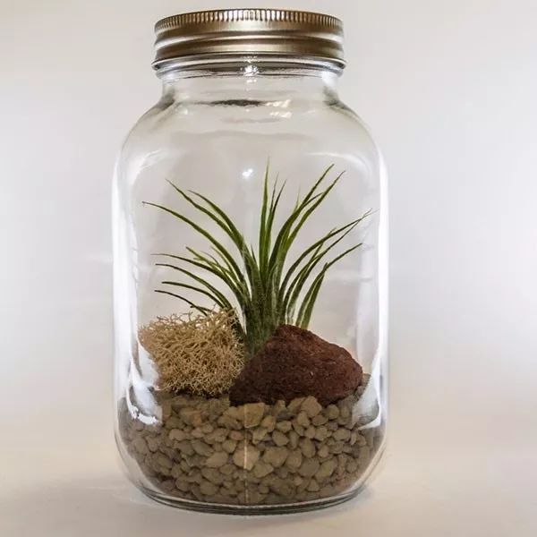 AngelineGex8gg's tweet photo. Turn an old mason jar into a cute hanging planter in 5 mins! No fancy tools needed. ， https://t.co/Fyji9Z6Ncq