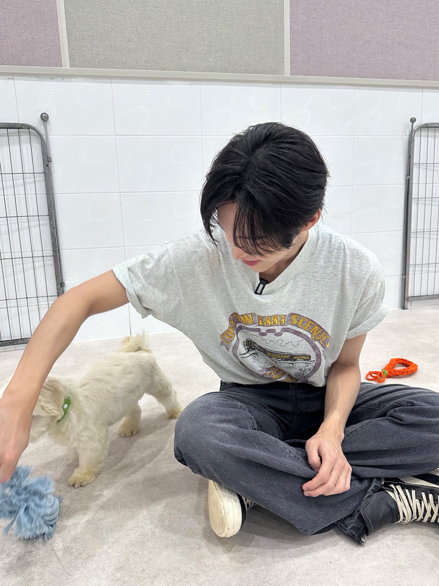 chrryever's tweet photo. 260915 라이즈 인스타 #원빈

new friends 🐾 https://t.co/RIRXg9GlUf
