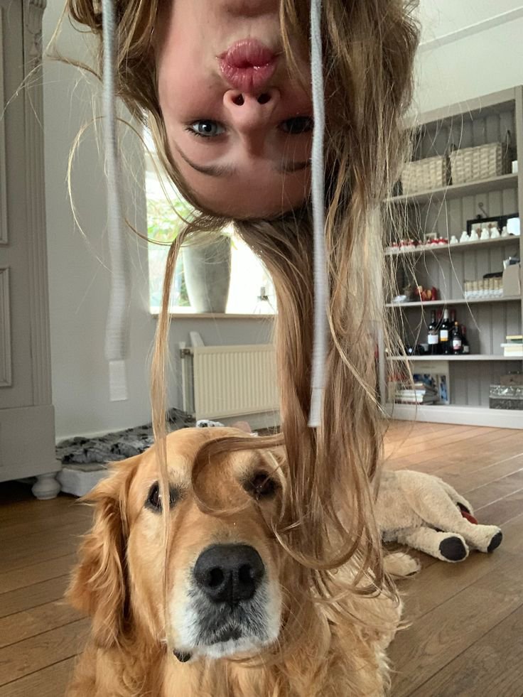 sylviahound5's tweet photo. Good morning everyone! A beautiful new day is here, bringing a fresh chance to reconnect and share some smiles together🥰🐾
https://t.co/AbfYsnpEN9
https://t.co/AbfYsnpEN9 https://t.co/QWVXGNn0qp