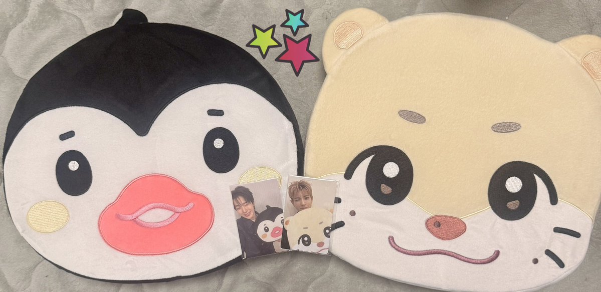 aoi_kumacaron's tweet photo. 届いた！！
ポモヤもユッティもかわいい🙌
モヤとユウキくんのトレカもかわいい🥳
とにかくかわいい🐧🦦

#NEXZ #tokiz https://t.co/MsSmRwju5R