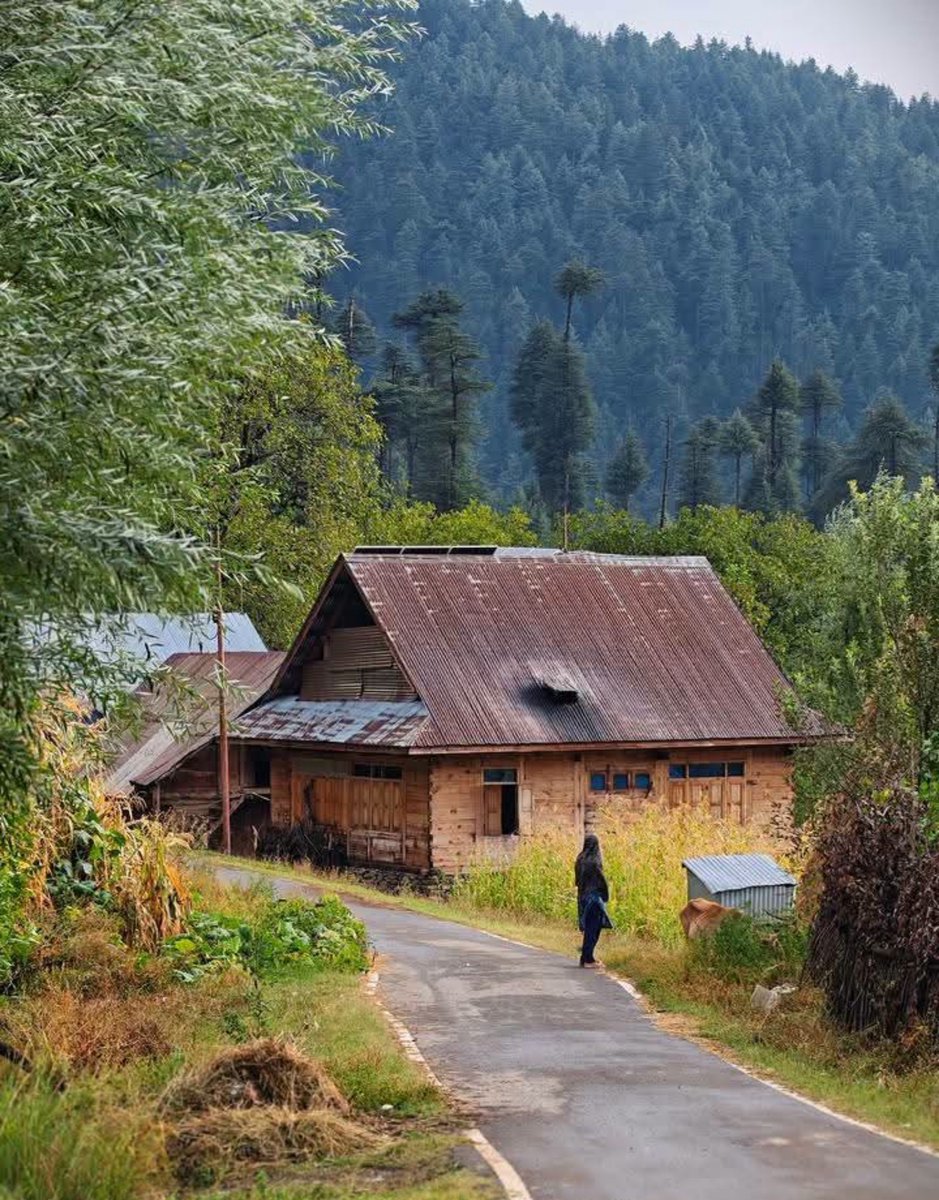 Dr_Dilbar_'s tweet photo. Village life 

Lolab valley ❤️
Kashmir Valley https://t.co/lDzuxwqi2l
