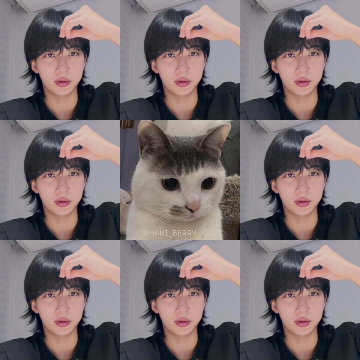 HANI_BERRY_1004's tweet photo. 하니시🐱🤍 https://t.co/UFZrwJ1bca
