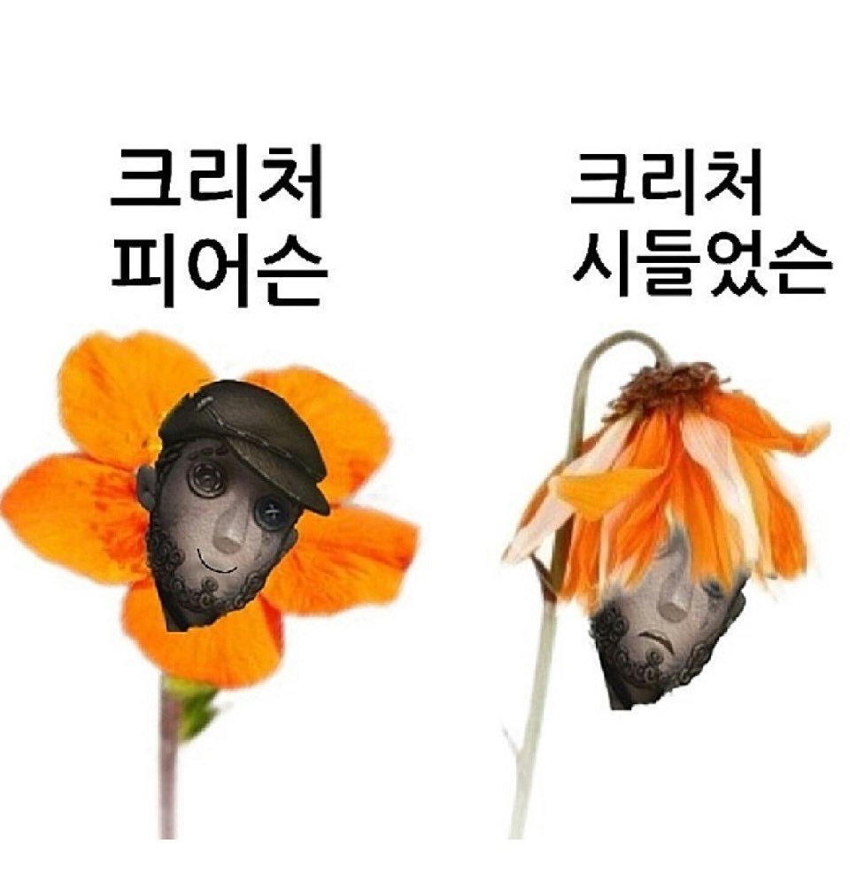 _on_jeom_'s tweet photo. https://t.co/2b9mU6S0Zz