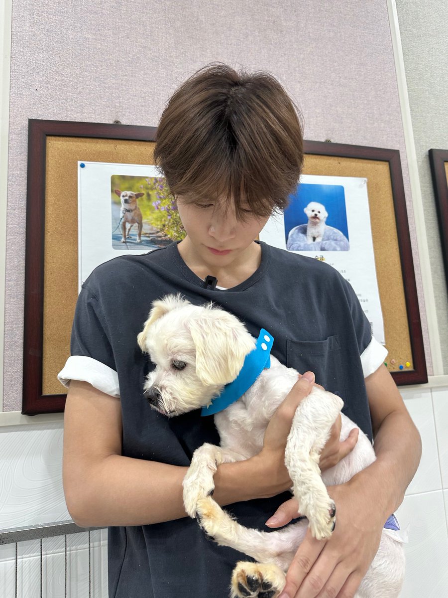 withlovechokun's tweet photo. เค้ารักคนนี้ :3 🐩🤎 https://t.co/OsG6Ooukqv