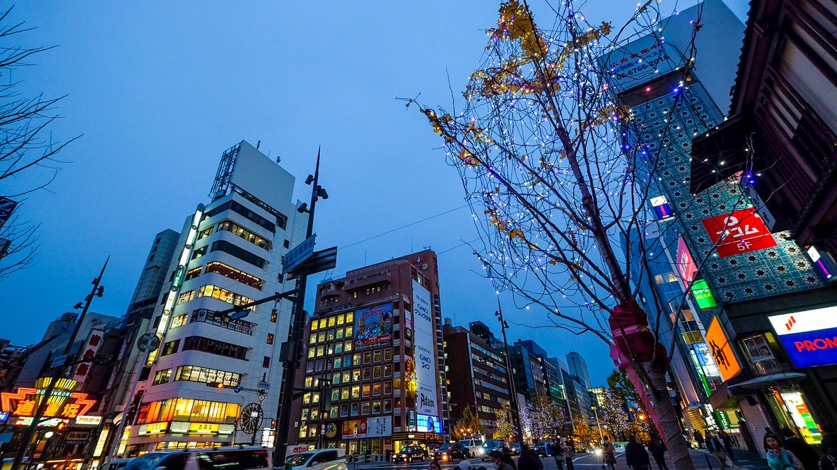 ganblade's tweet photo. 🚨🇯🇵 ใครไปโอซาก้าปลายปี จดวันไว้เลย!

Midosuji Illumination 2026 🎄✨
ถนน Midosuji ยาวกว่า 4 กม. จาก Umeda → Namba จะเปิดไฟตลอดสาย

📅 3 พ.ย.–31 ธ.ค.
⏰ 17:00–01:00 น.

เดินเล่นยาว ๆ ตอนค่ำ บรรยากาศดีมาก ✨
แต่แนะนำ อย่าไปคนเดียว เหงามากก 💔😂 https://t.co/GaTNnaCE72