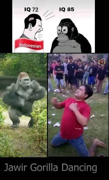 twitdokurt's tweet photo. @viprabuddhi @ProudMumbaiffr6 
Jawir from java havelow iq for a reason, even the orang utan/ape is smarter than them. 200 million of this poopdullah roaches and literally zero contribution to civilisation https://t.co/hvmwn2mtJX