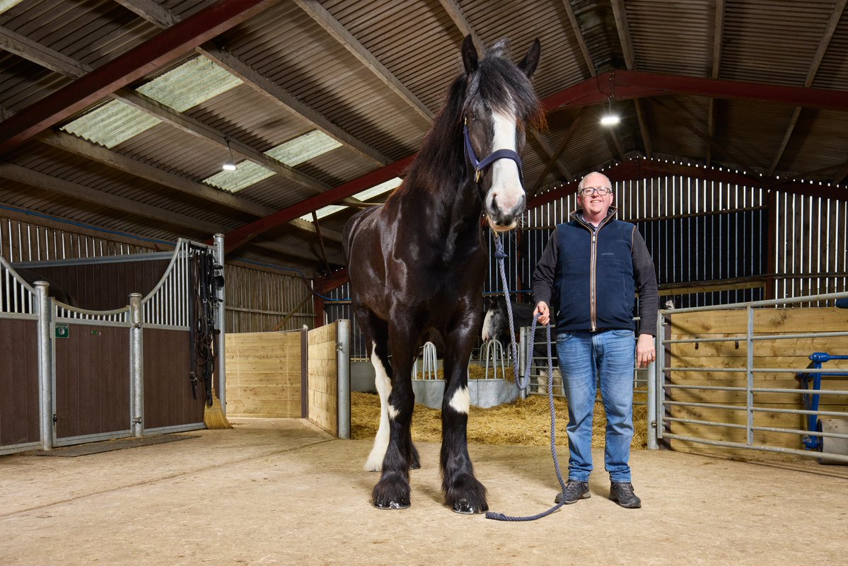 GWR's tweet photo. Meet Hugo, the world's tallest horse at 199 cm (6 ft 6.3 in) 🌠 https://t.co/mG1rSGir8I