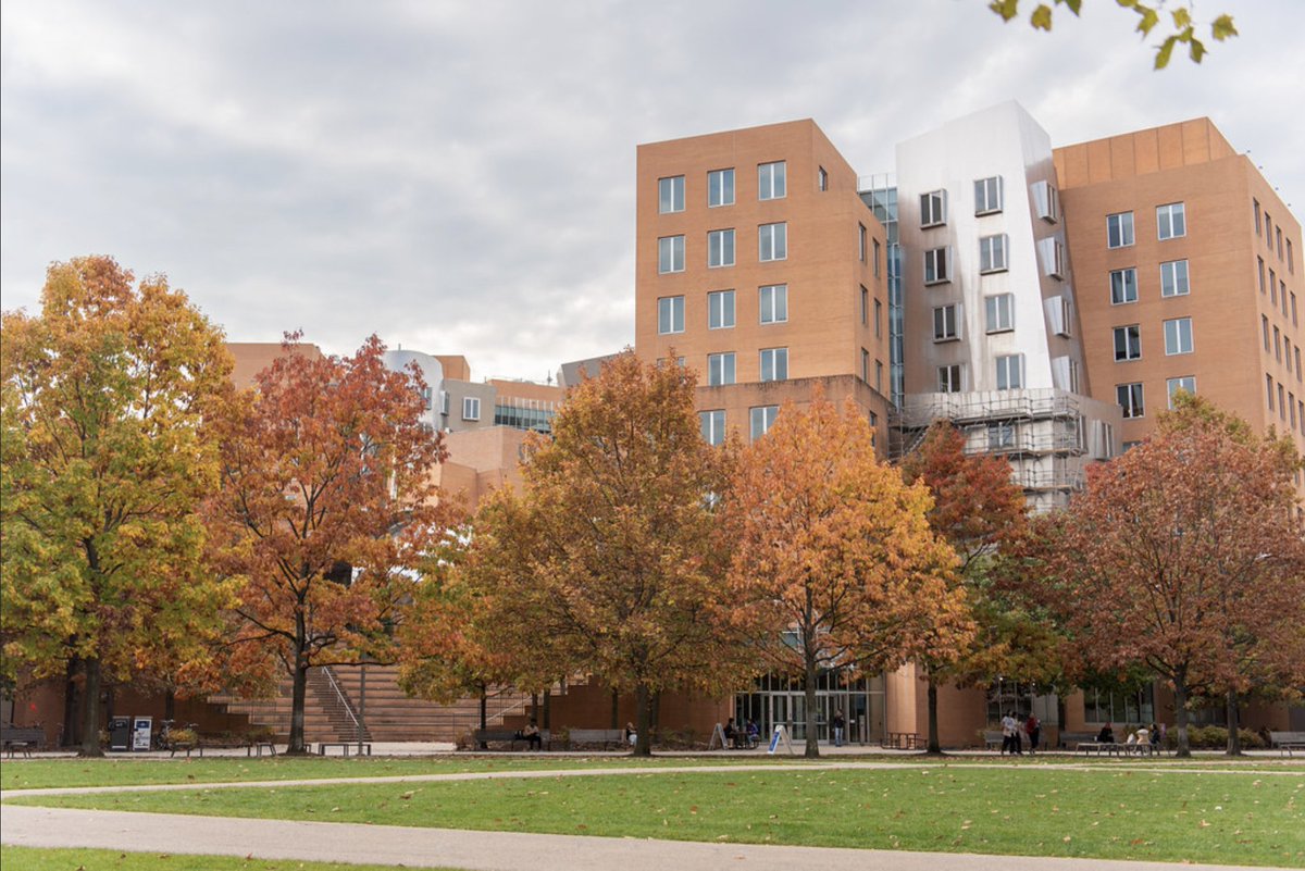 ChemistryMIT's tweet photo. 🚀 MIT School of Science Postdoctoral Fellowship is now open! We're seeking world-class scientists driving interdisciplinary research.

💰$88k stipend + $15k research 🗓️ 3-year cohort | Starts Sept 2027 ⏳ Deadline: Nov 15, 2026

Apply now: https://t.co/oGGBn9BXH9 https://t.co/1ElQLQxWNC