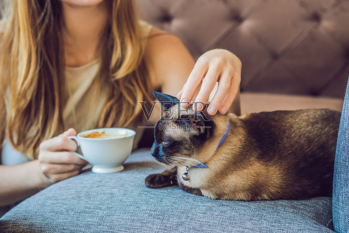 WillianShe2c's tweet photo. My fur bestie made every ordinary day feel like a gift  Coffee dates u0026 lazy naps together = pure happiness! https://t.co/4tgCIFJNgz