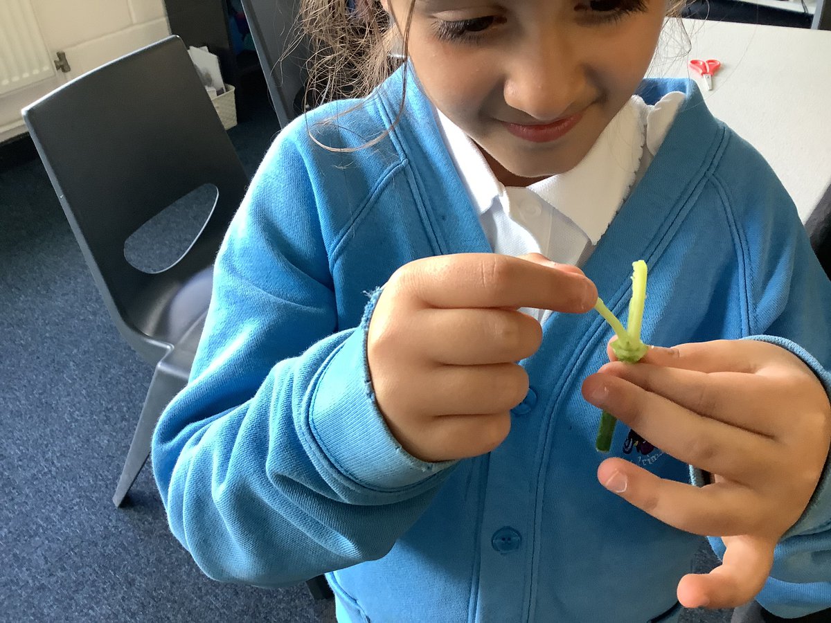 UKS2_Gaskell's tweet photo. Year 5 have been dissecting a flower in Science as part of their recapping of Year 4 learning. @GaskellScience @GaskellPrimary https://t.co/3IwvaopUmM
