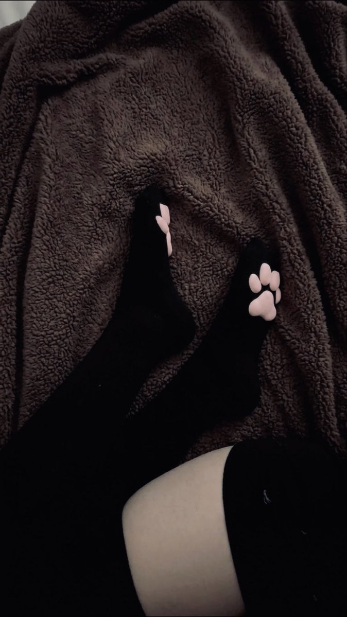 almostoursss's tweet photo. paw socks :3 https://t.co/ODmPMARjMY